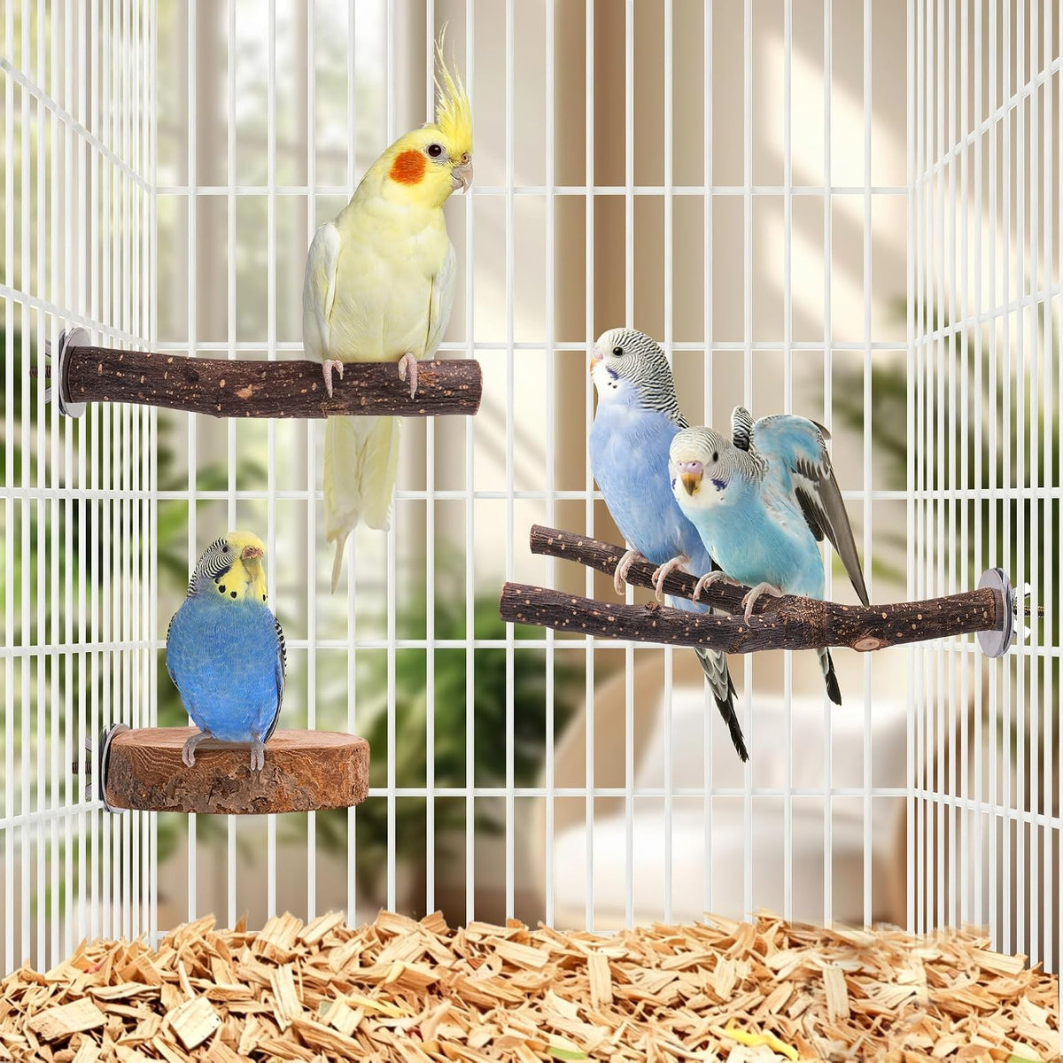 8PCS Bird Perches Set Natural Apple Wood Bird Cage Accessories Wooden Parrot Stand Hardwood Branches for Parakeets, Budgies, Cockatiels Small Bird Habitat Gym, Climbing Stand & Safe Chew Toys - Image 8
