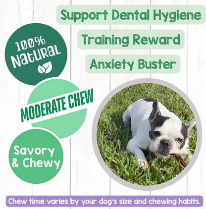 Natural rawhide free dog bones alternative for teething puppies dental health