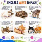 Set of 6 cat interactive toys with organic catnip