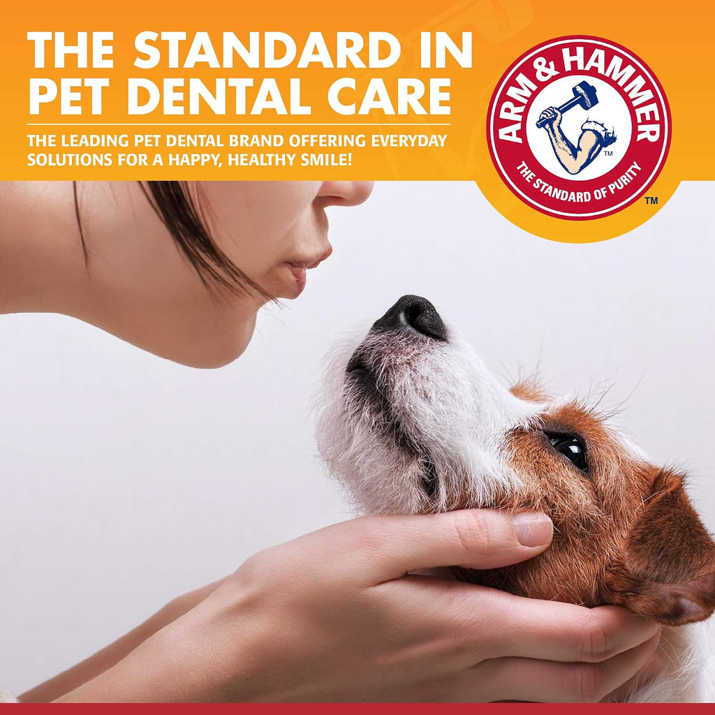 Arm and Hammer chicken flavor toothpaste for pet dental hygiene