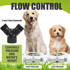 Kefiy step-on dog water fountain with garden hose connection