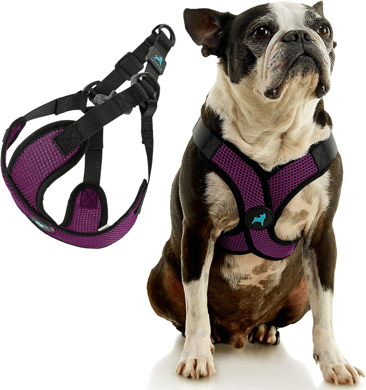 Gooby step in dog harness showing the lightweight breathable mesh texture close up.