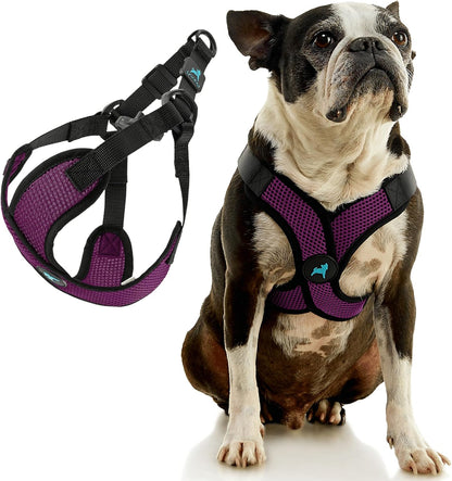 Gooby step in dog harness showing the lightweight breathable mesh texture close up.