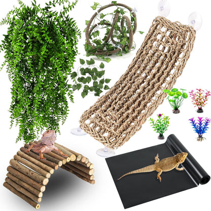 Detailed components of the 9-piece Hercocci terrarium kit