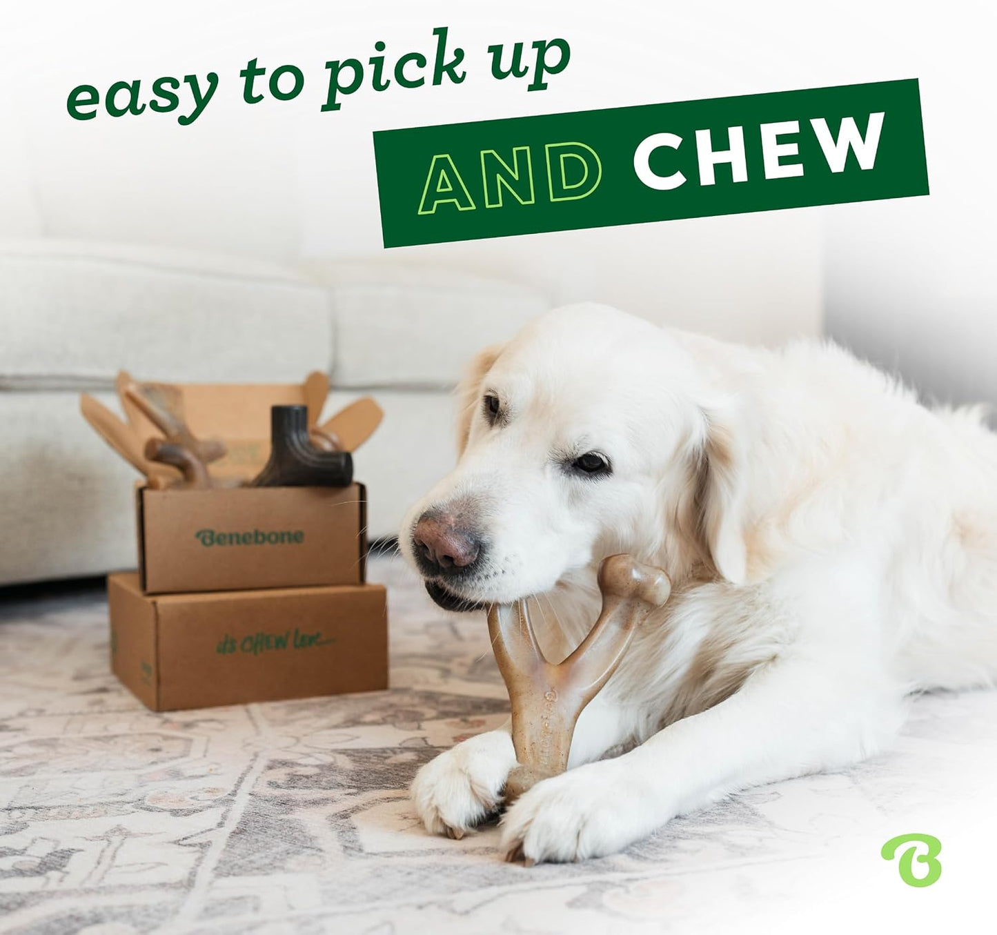 Benebone Medium 4-Pack Dog Toys for Aggressive Chewers - Durable Dog Bones, Made in USA - Dog Toys for Medium Dogs Under 60 lbs - Image 2