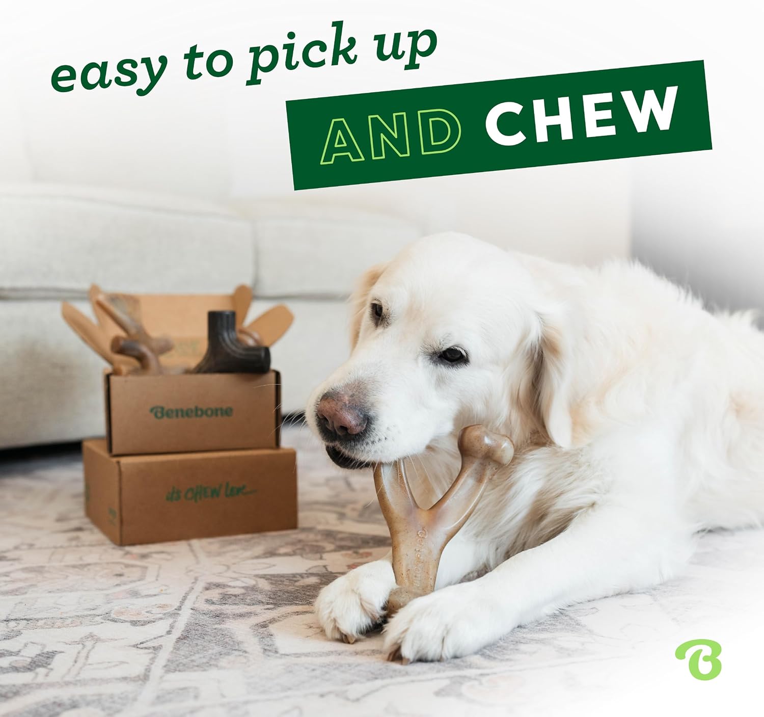 Benebone Medium 4-Pack Dog Toys for Aggressive Chewers - Durable Dog Bones, Made in USA - Dog Toys for Medium Dogs Under 60 lbs - Image 2
