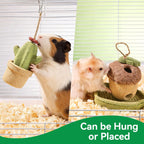 Premium imported small animal dental care toys resting on natural wood background