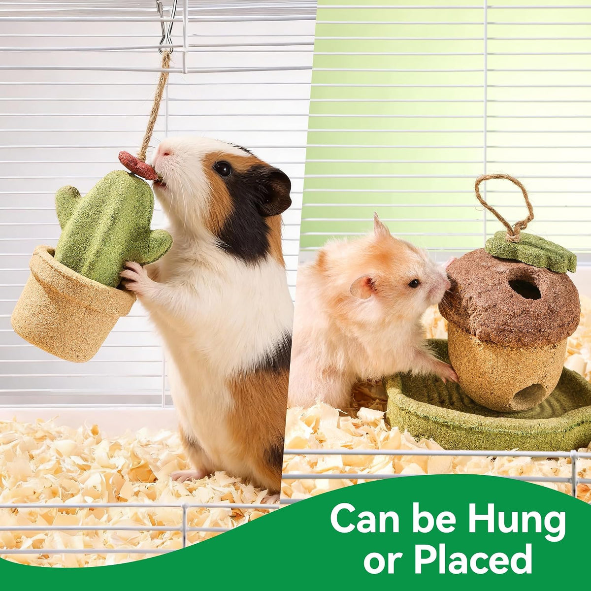 Premium imported small animal dental care toys resting on natural wood background