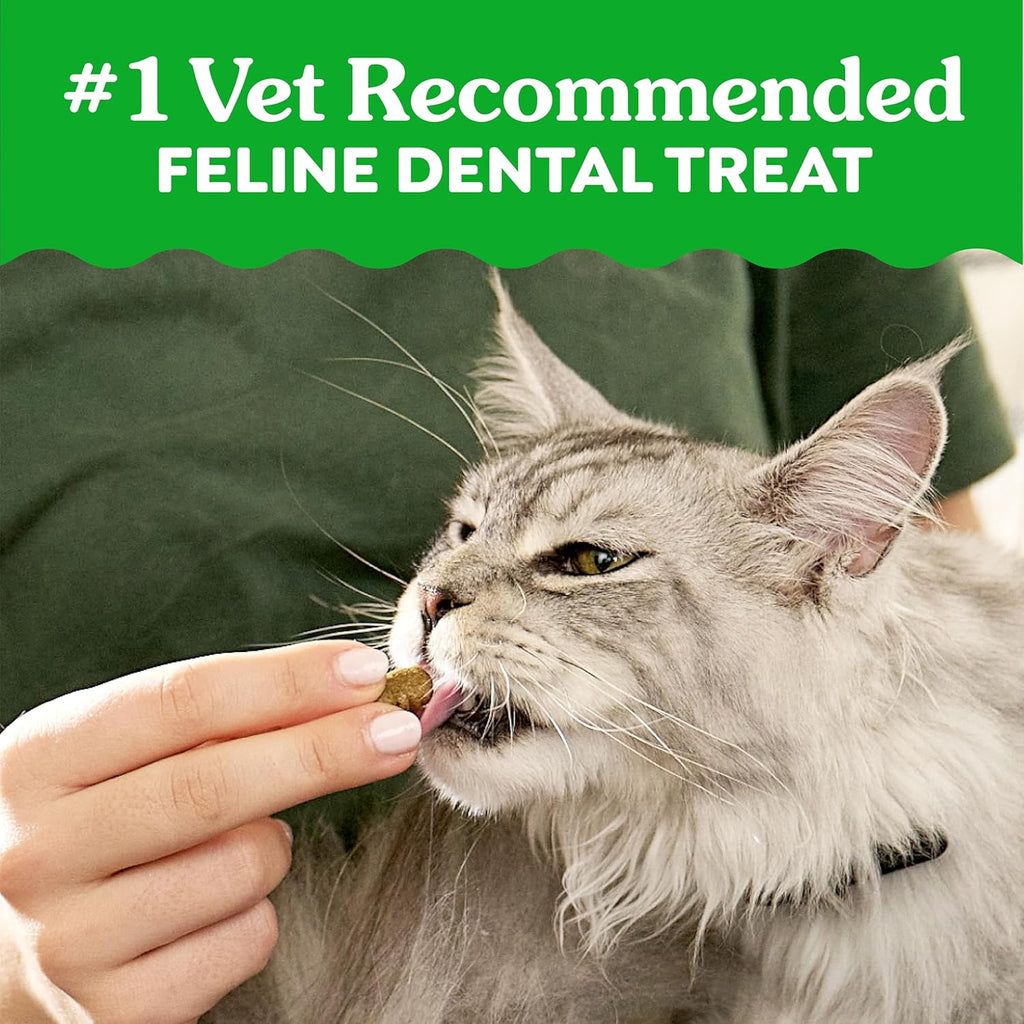 Close up view of crunchy natural tuna flavored cat dental treats