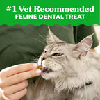 Close up view of crunchy natural tuna flavored cat dental treats