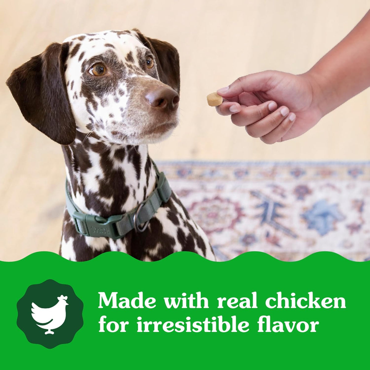 Greenies Supplements Calming Chews for Dogs Chicken Flavor, Dog Calming Chews, 7.3 oz. Container of 40 Count - Image 10