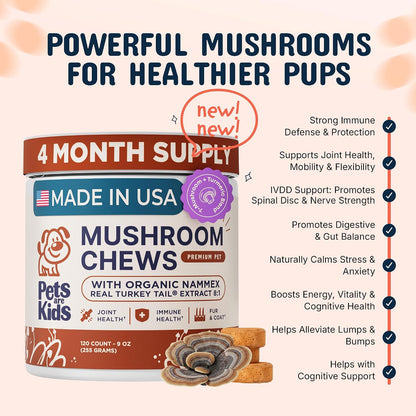 Authentic USA imported dog mushroom supplement bottle showing immune and joint support benefits.