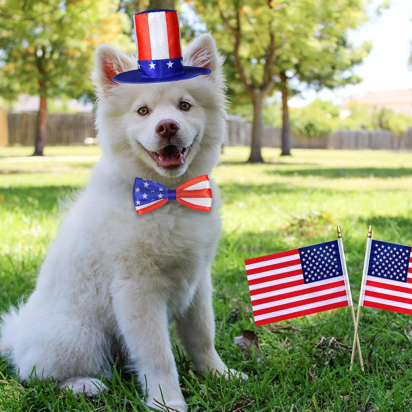 Medium dog wearing Independence Day costume