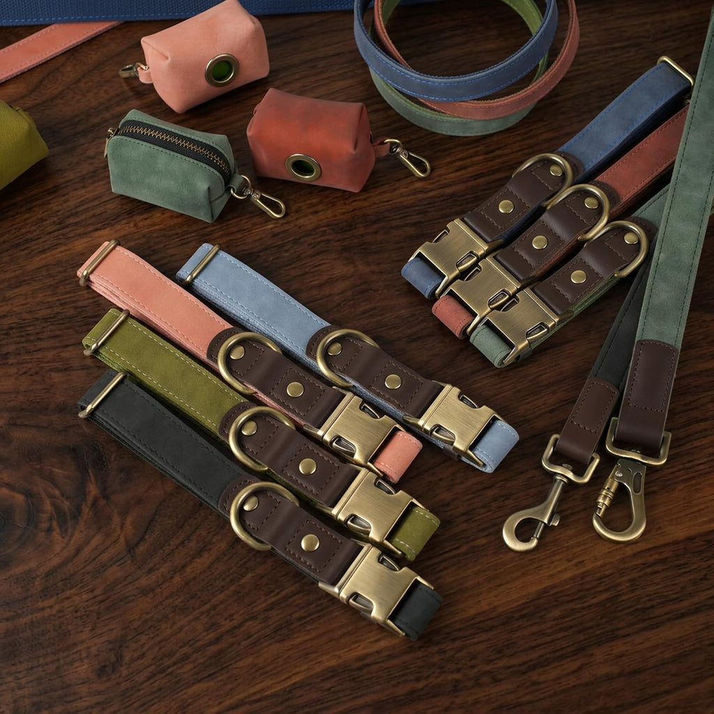 Stylish lightweight training lead for small and medium pets on Rudra Retails