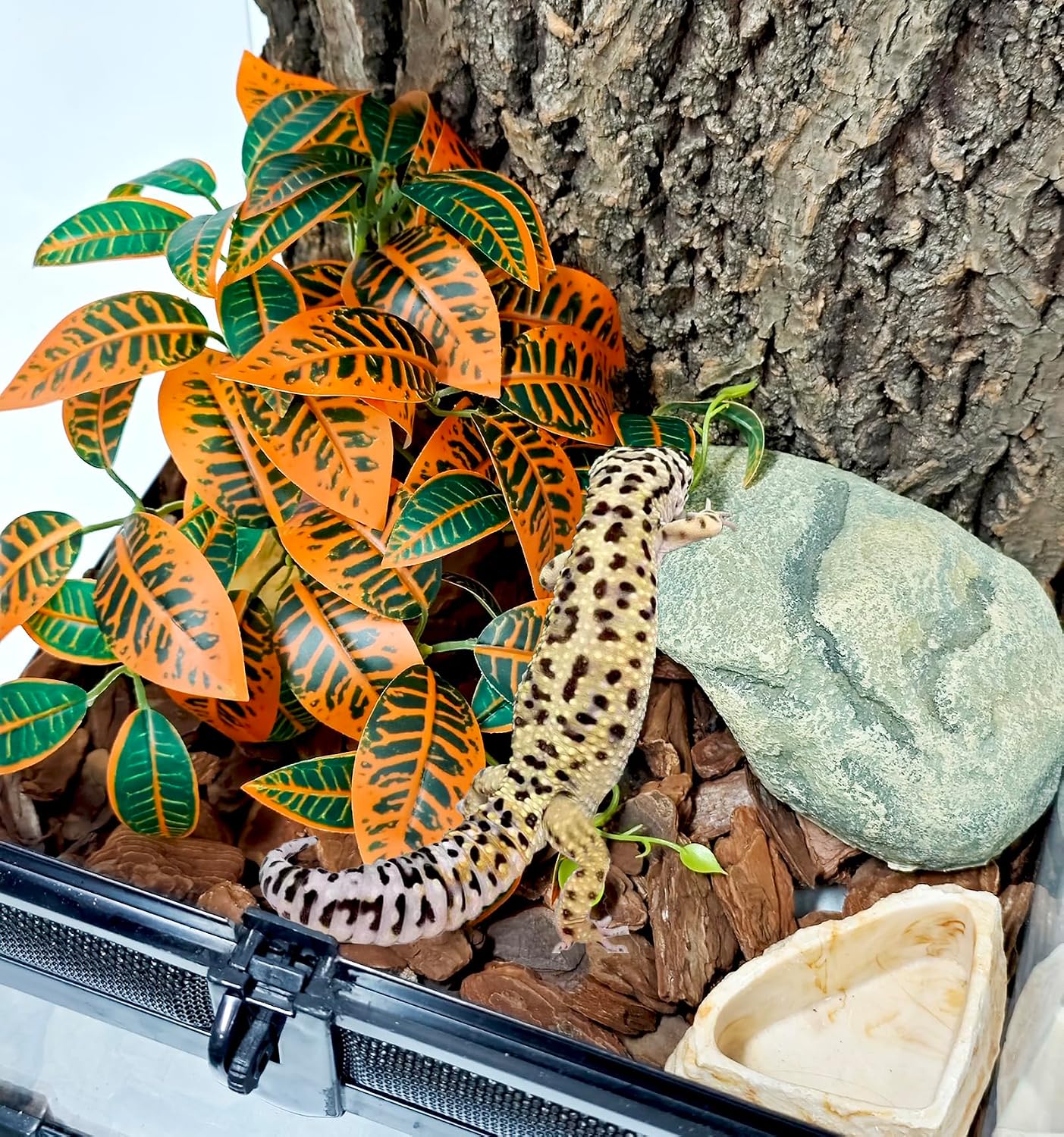 Woyrise Reptile Plants for Terrarium Decor, Ball Python Tank Accessories fit Bearded Dragon Crested Leopard Gecko Lizard Chameleon Snake Frog Tortoise Hermit Crab - Fake Codiaeum Variegatum - Image 2