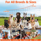 Outdoor setup of dog barking control system