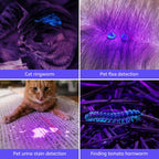 Handheld black light flashlight revealing hidden stains on a home carpet surface.