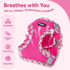 Petank escape proof puppy harness double D ring detail