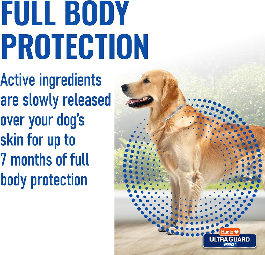German Shepherd wearing Hartz UltraGuard Pro flea collar