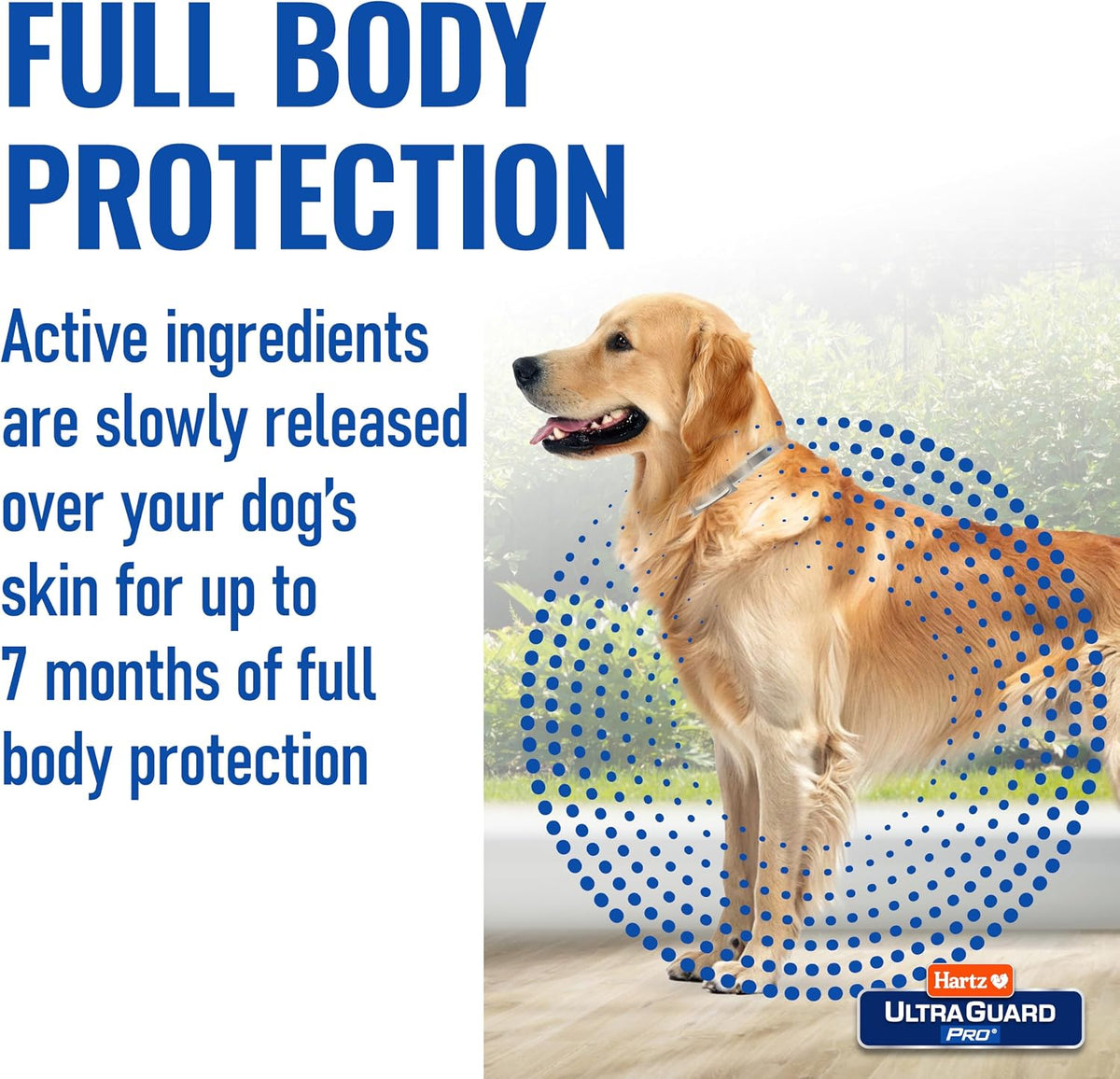 German Shepherd wearing Hartz UltraGuard Pro flea collar