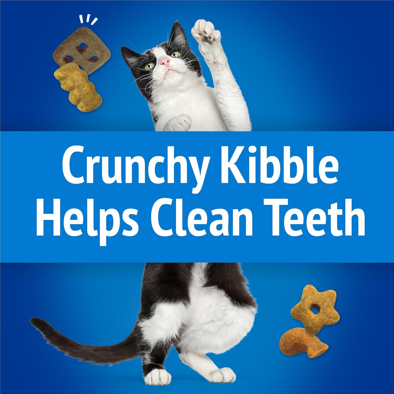Purina Friskies adult cat treats daily rewarding snack size