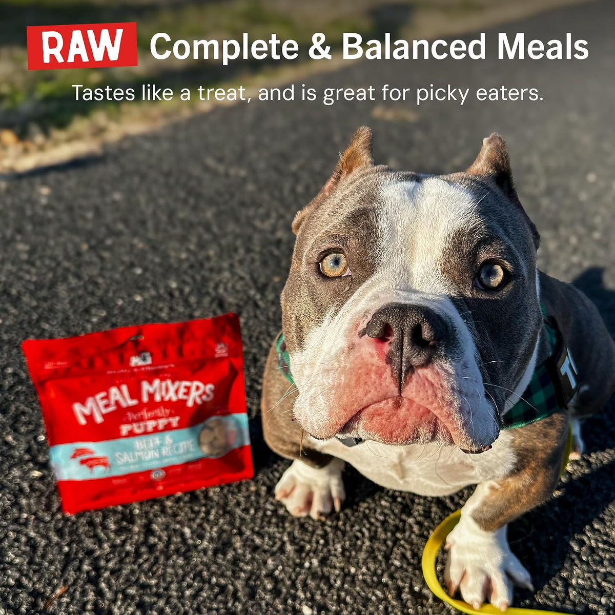 Stella & Chewy's Freeze Dried Raw Meal Mixers - Crafted for Puppies - Grain Free, Protein Rich Perfectly Puppy Beef & Salmon Recipe - 3.5 oz Bag - Image 11