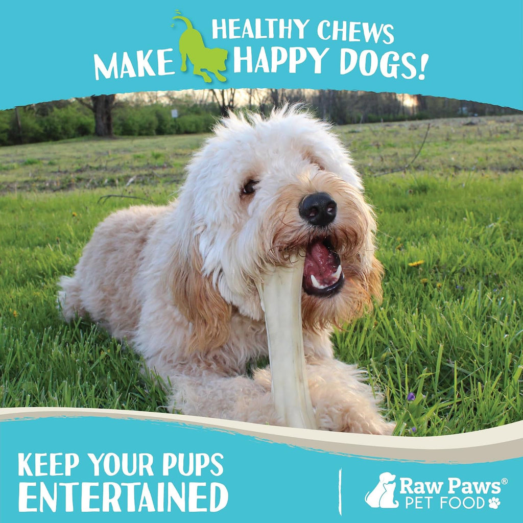 Back packaging view of Raw Paws compressed dog chews outlining feeding safety guidelines and ingredient purity.