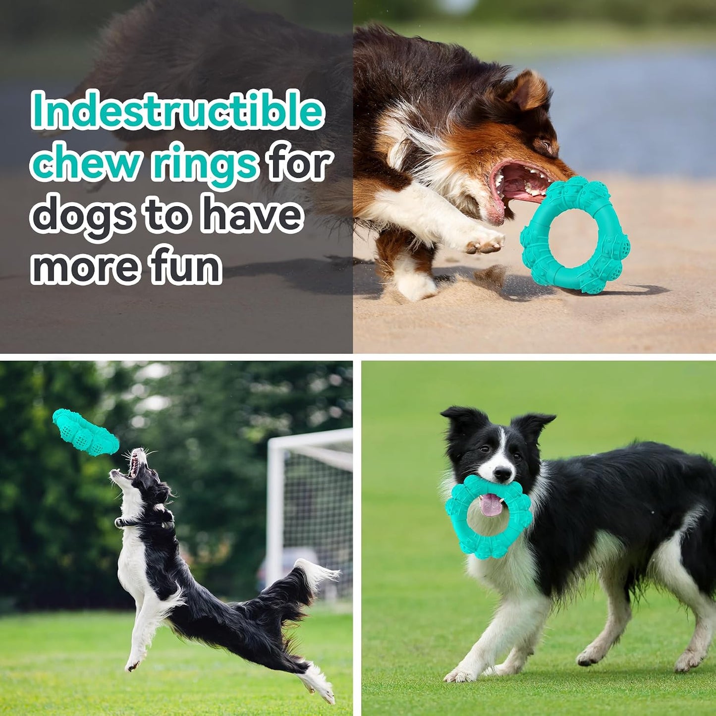 High quality rubber material details of dog toy