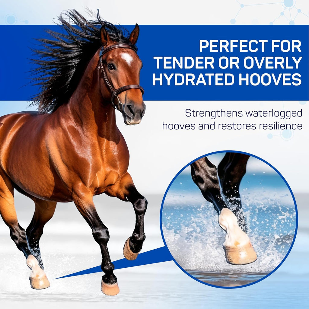 USA imported Kera Prep hoof care solution for wet conditions