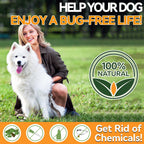 Close-up of Carmelie oral pest support treats showcasing the soft chewable texture for easy feeding.