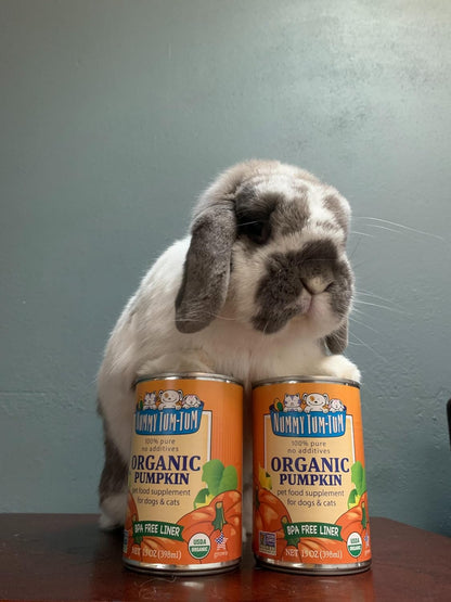 BPA free premium packaging of authentic Nummy Tum Tum pet supplement.