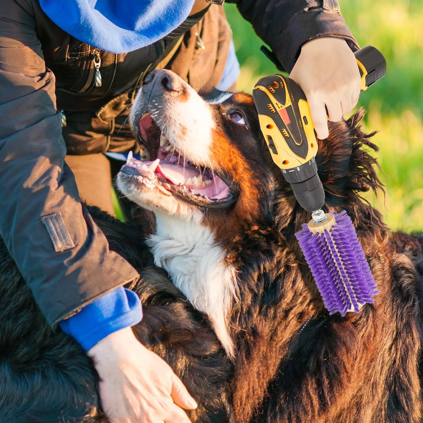 Side profile of purple livestock scratch brush grooming tool