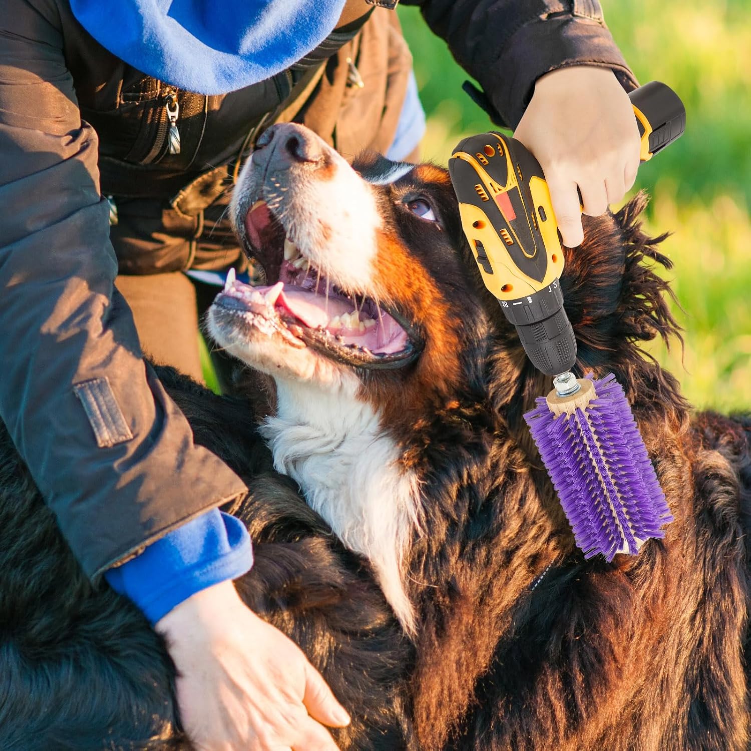 Side profile of purple livestock scratch brush grooming tool