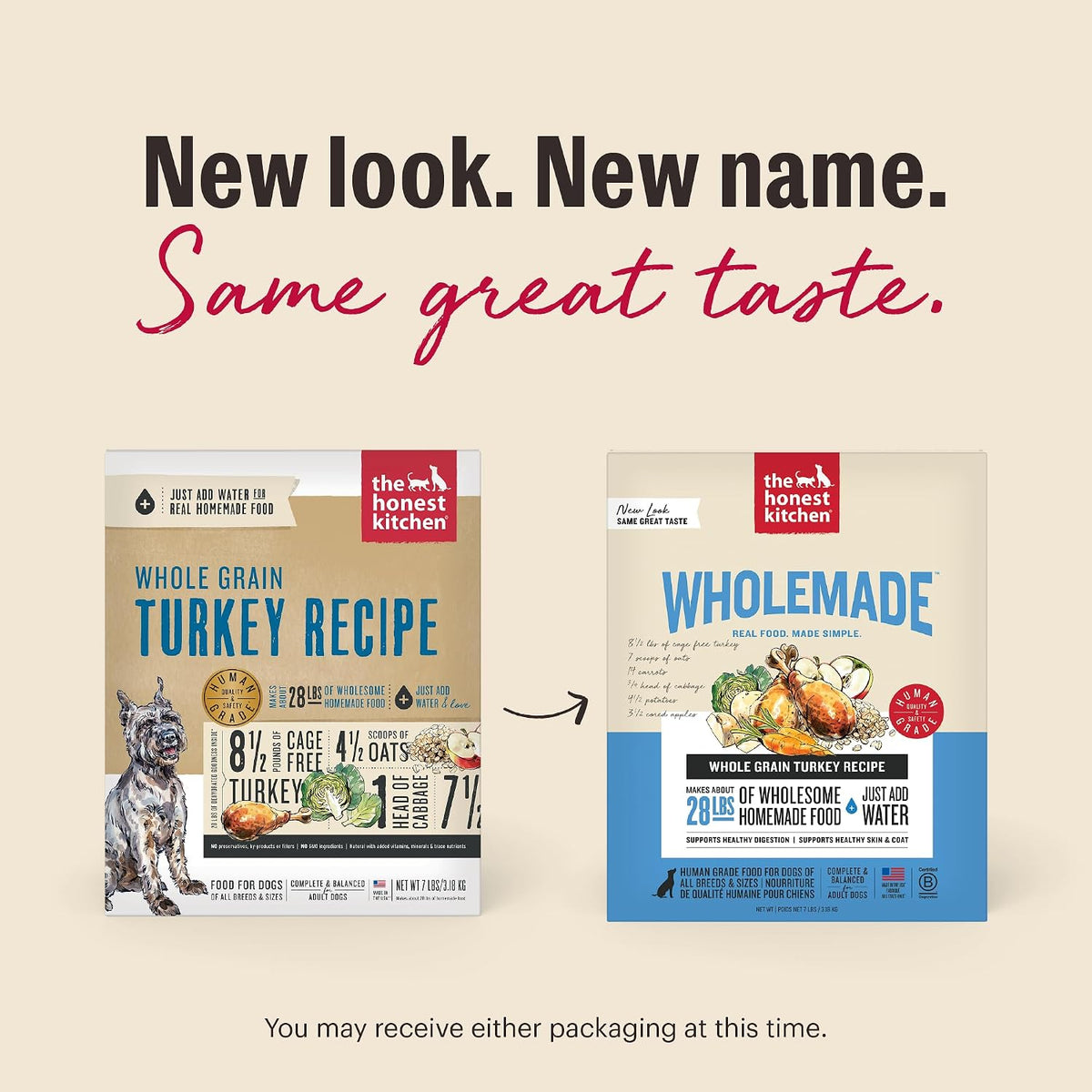 Preparing Honest Kitchen dehydrated turkey recipe dog food by adding warm water.