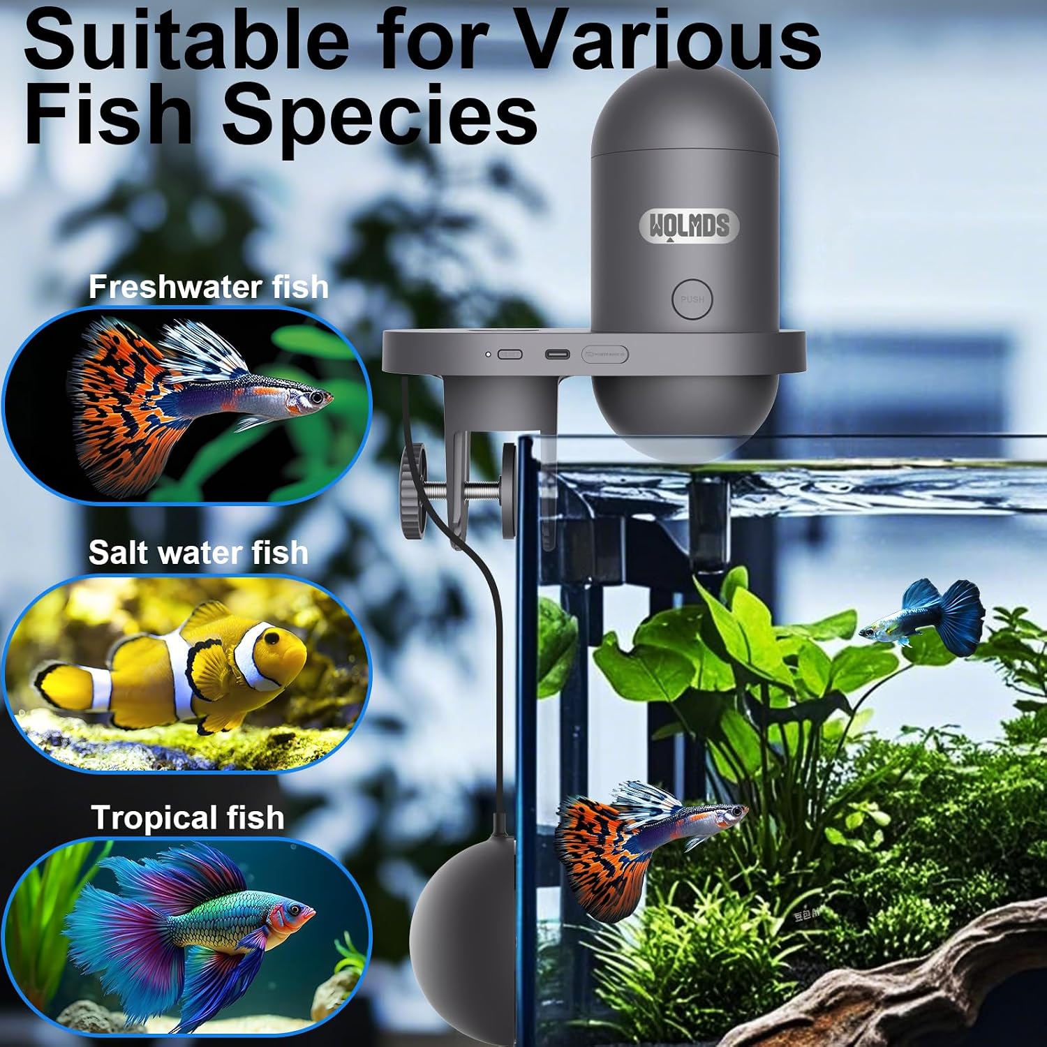 Authentic USA imported automatic pet feeder mounted securely on a premium fish tank.
