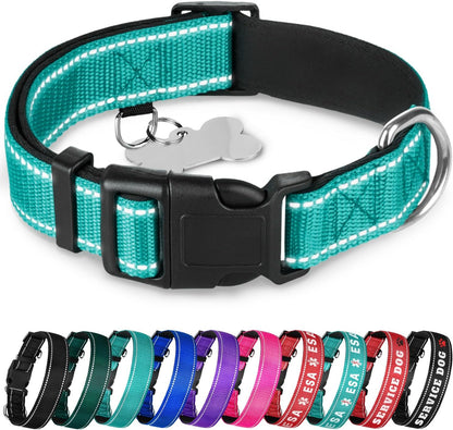 Teceum reflective dog collar aquamarine front view