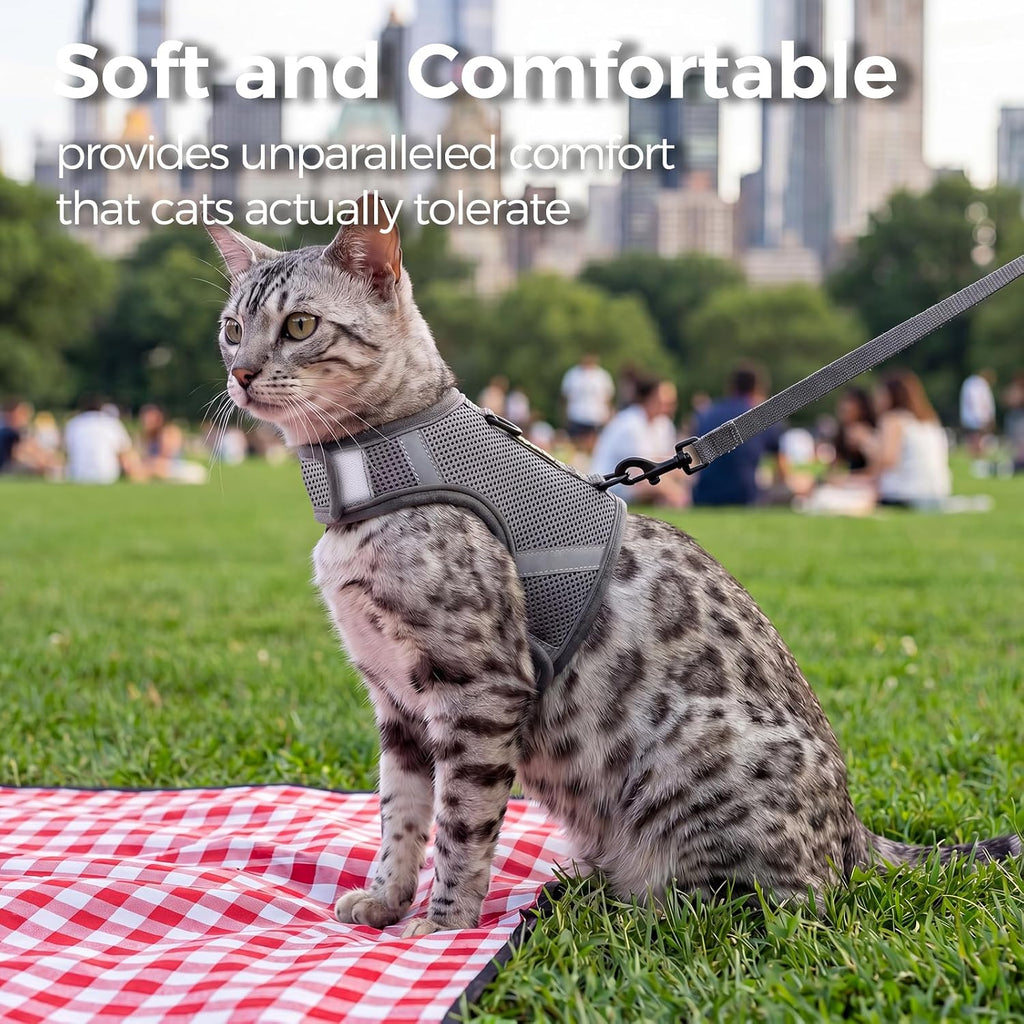 Lined reflective safety strips on premium imported cat travel harness