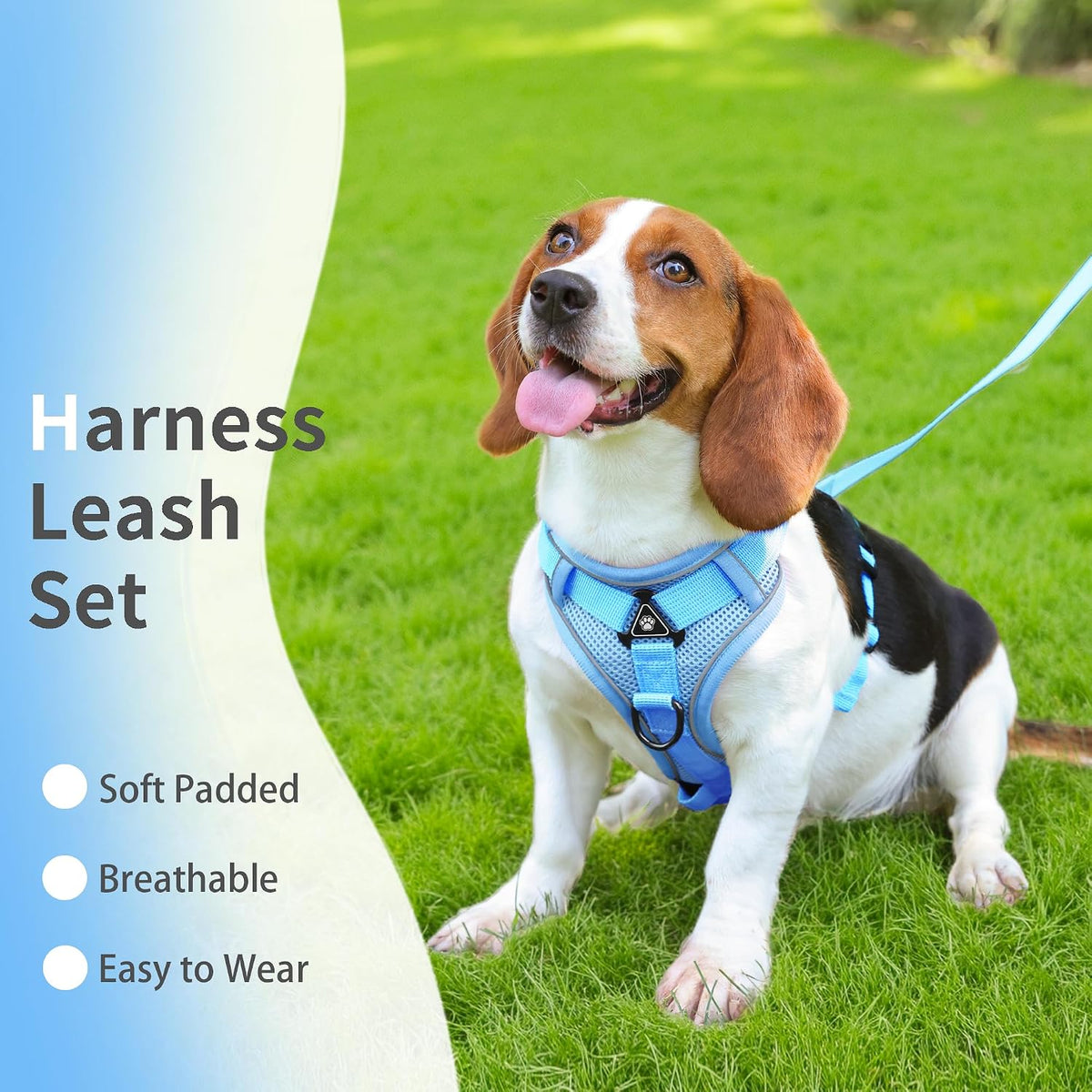 Jolifield reflective adjustable pet vest harness set with five foot matching leash in blue