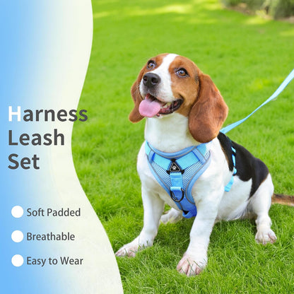Jolifield reflective adjustable pet vest harness set with five foot matching leash in blue