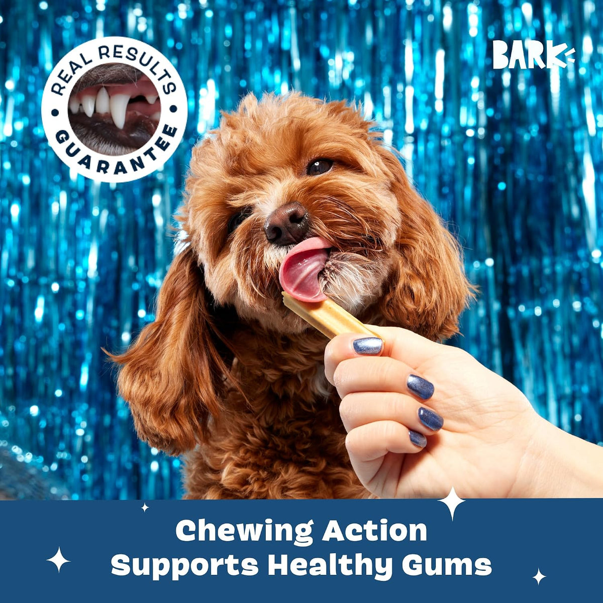 Back view of Barkbox Bright dental chews packaging with ingredient details