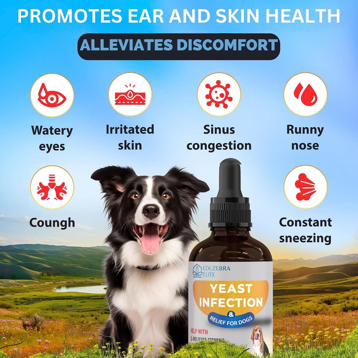 Premium pet supplement for soothing dog paws and skin folds inflammation