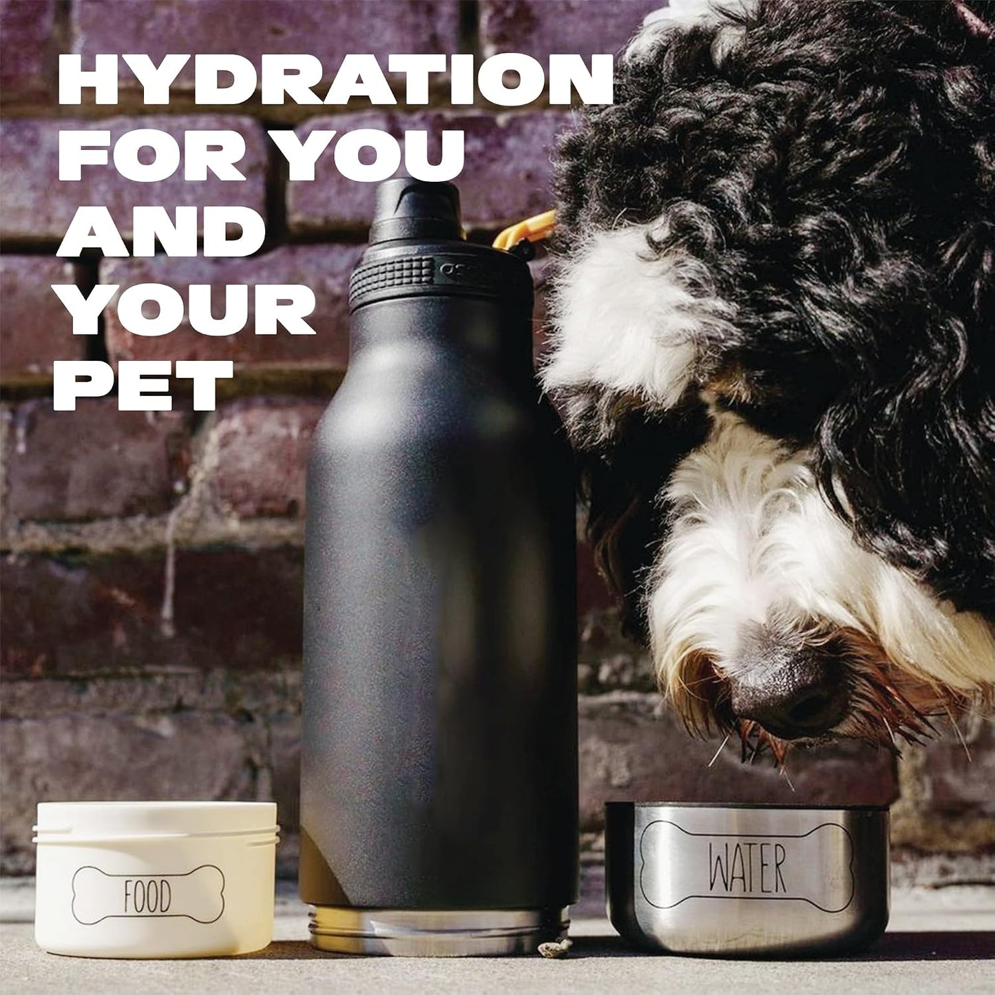 Asobu pet travel flask with detached dog food and water bowls