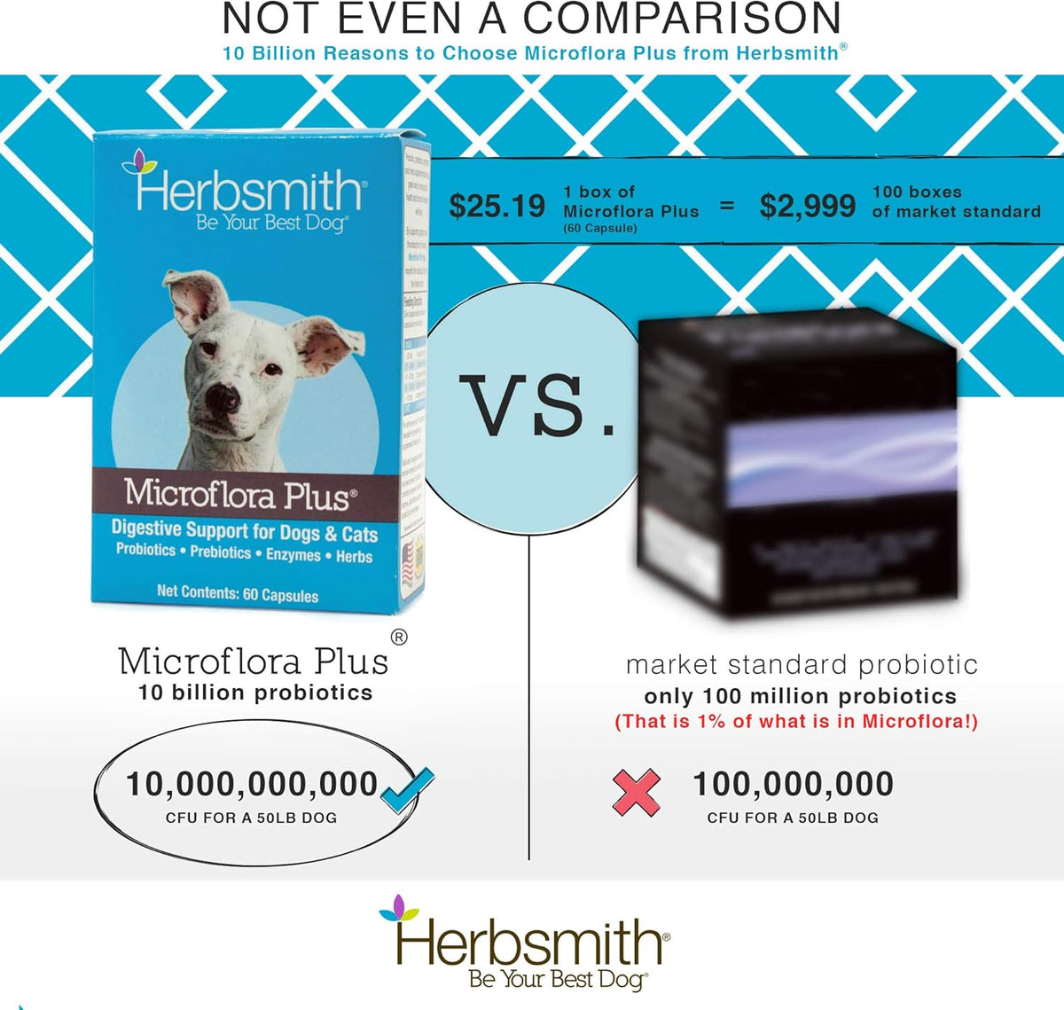 Herbsmith Microflora Plus capsule being opened and sprinkled on cat food top view