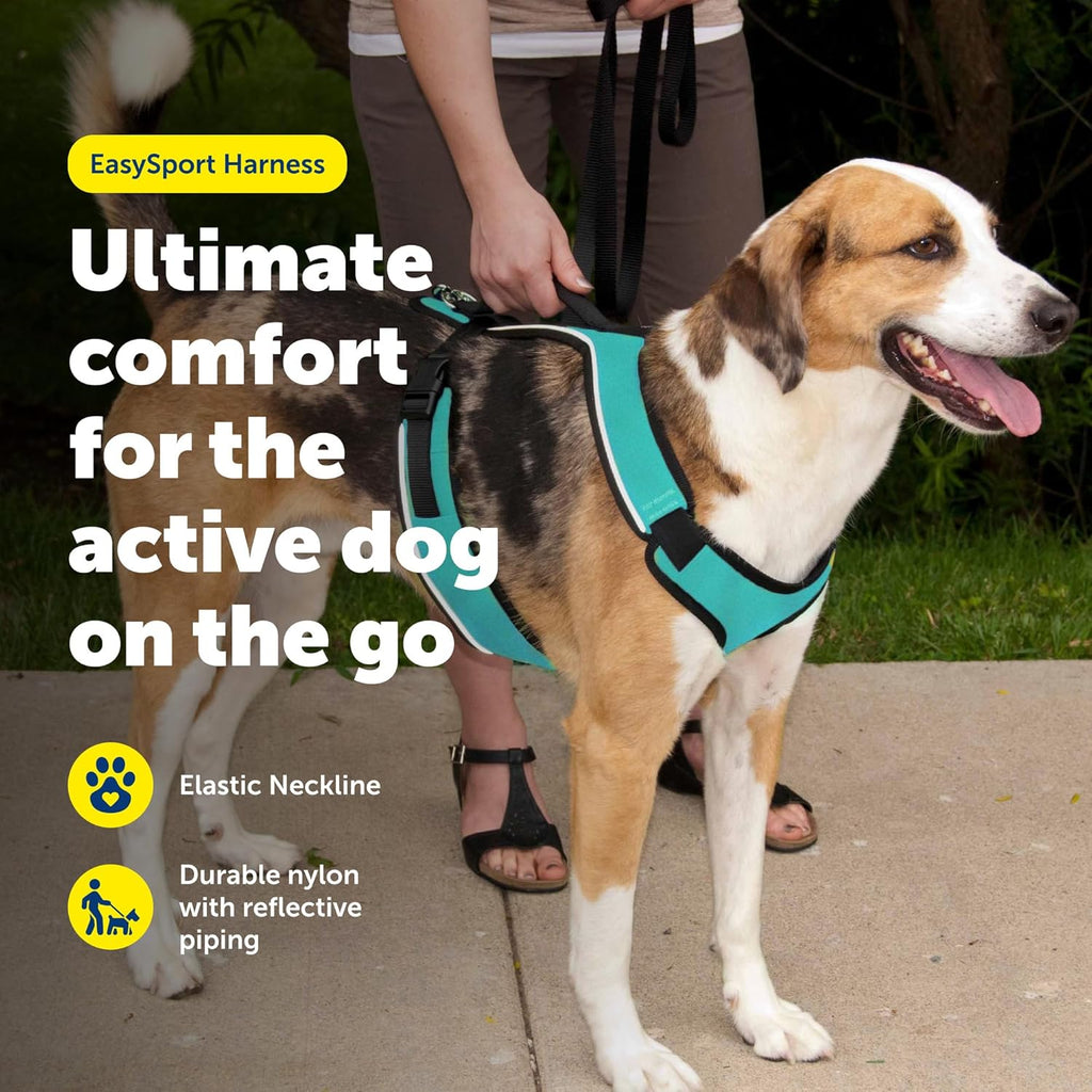 PetSafe EasySport harness side profile with reflective trim