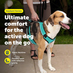 PetSafe EasySport harness side profile with reflective trim