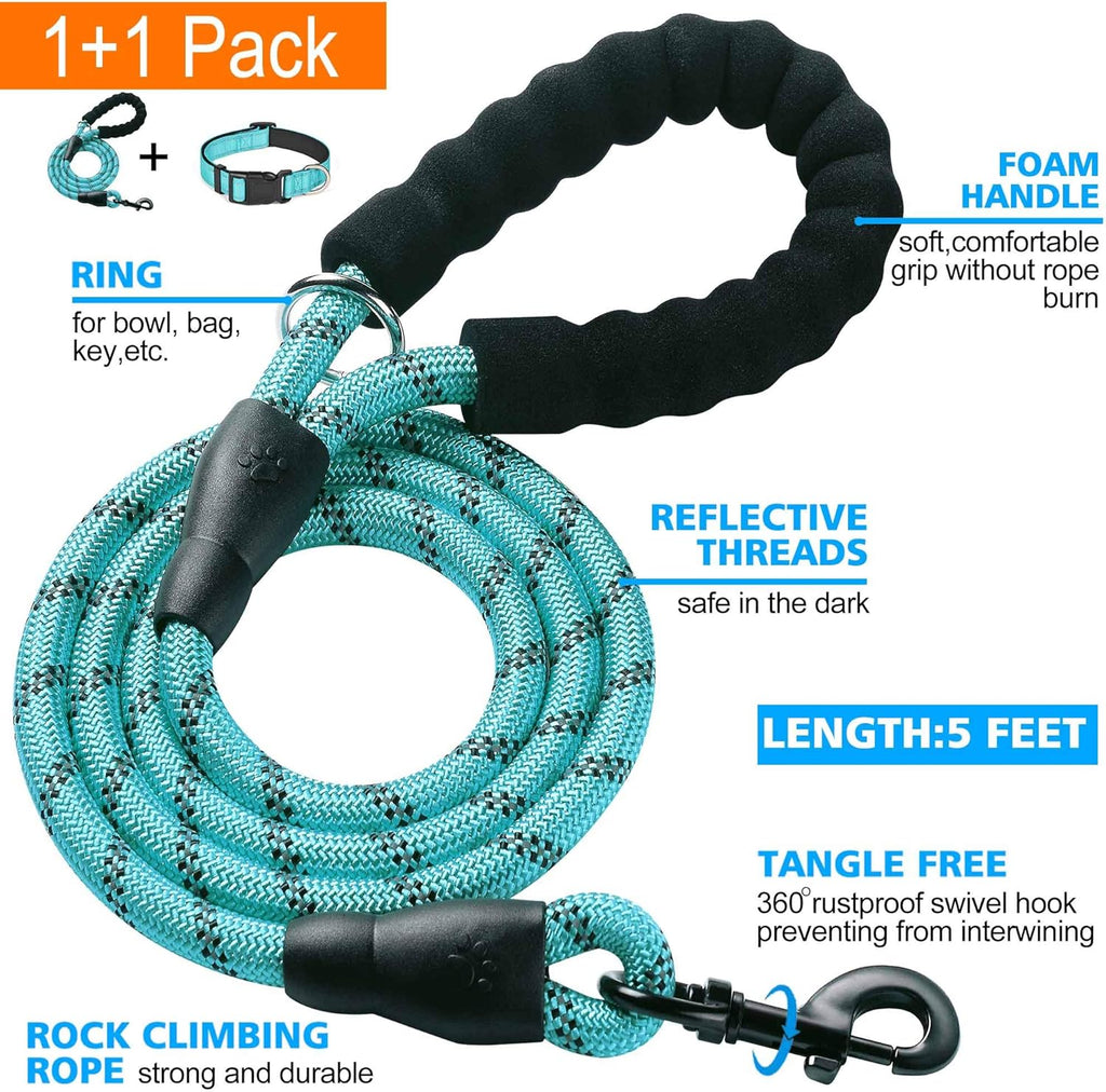 Ladoogo medium dog collar showing neoprene padding detail