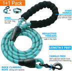 Ladoogo medium dog collar showing neoprene padding detail