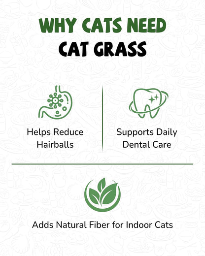 High fiber hairball control indoor feline snack ingredient visualization