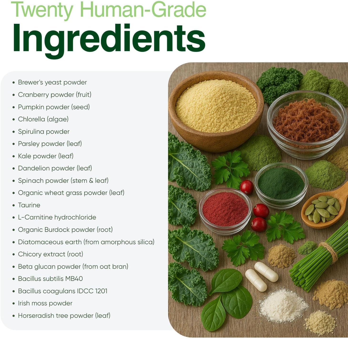 Human grade dog supplement powder for skin and coat care showing texture