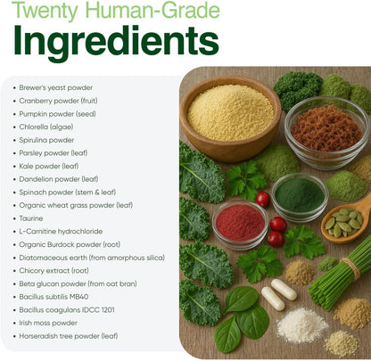 Human grade dog supplement powder for skin and coat care showing texture